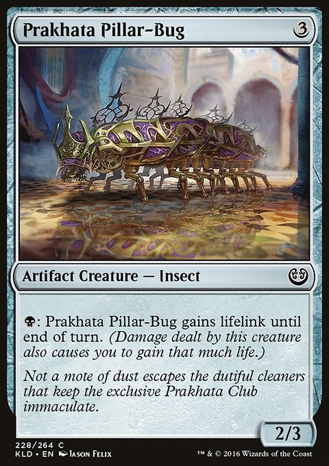 Prakhata Pillar-Bug